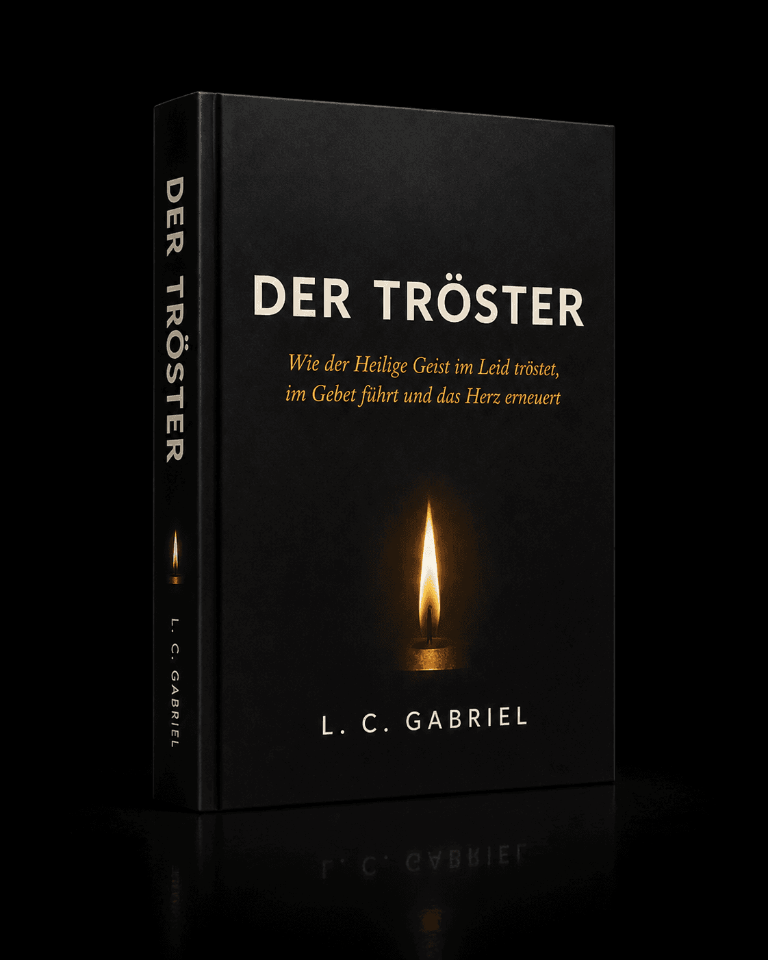 Utešitelj — Buch von L. C. Gabriel